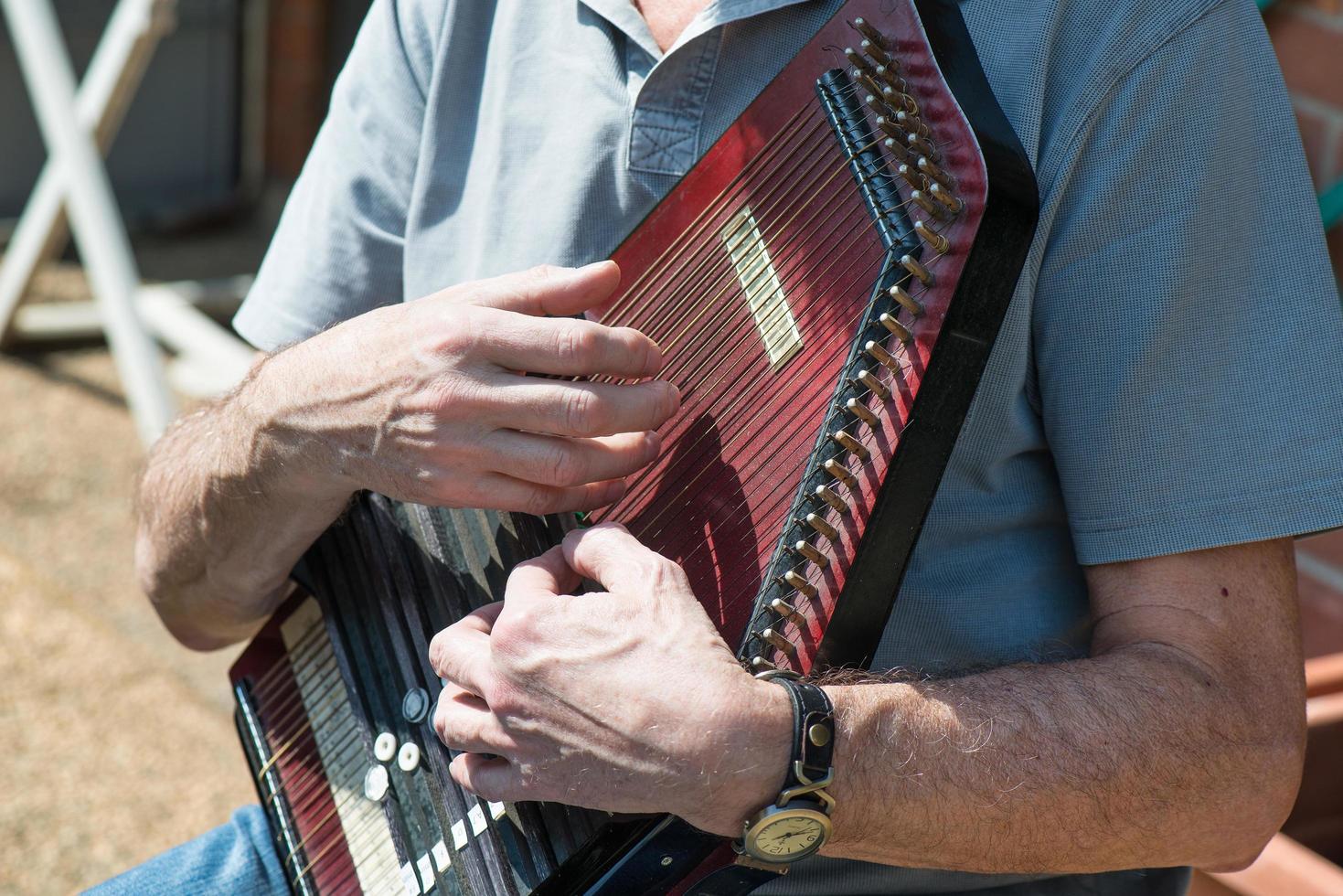 Auto-harp musical instrument with plucked strings photo