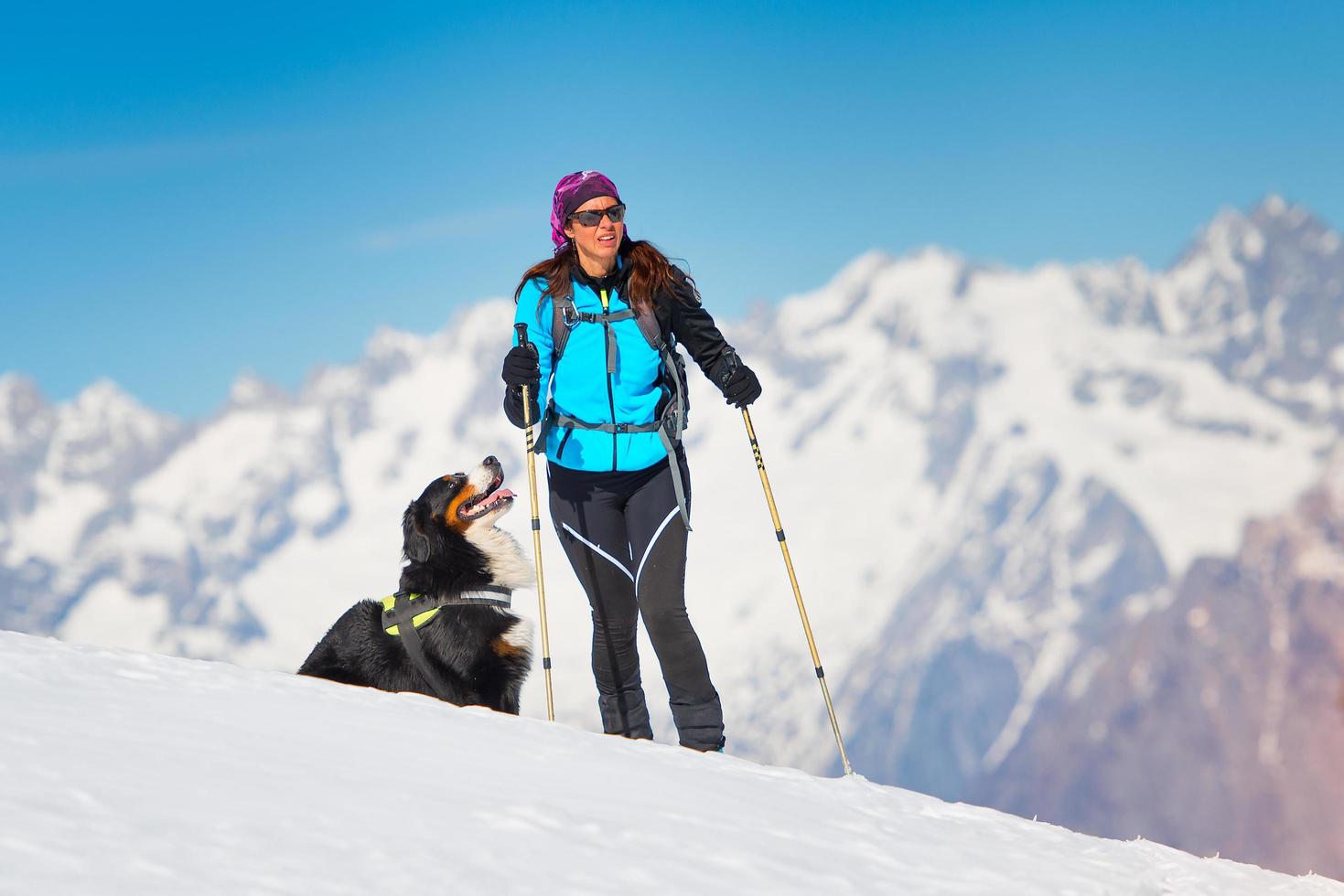 Alpinist girl on skis and sealskins alone with his dog faithful friend photo