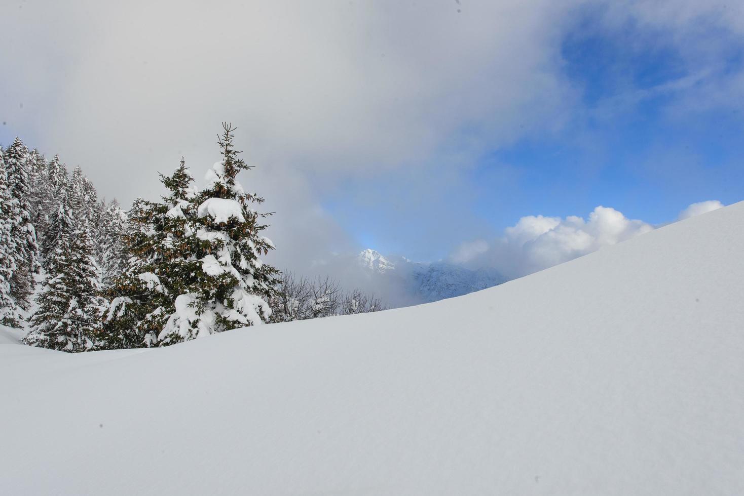 After heavy snowfall in the sky it begins to calm down photo