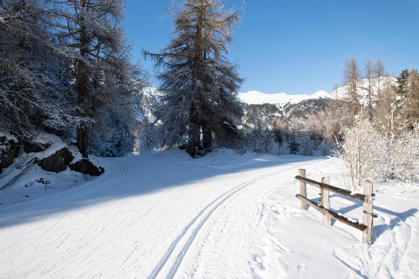 Nordic ski trail with classic and free technique photo