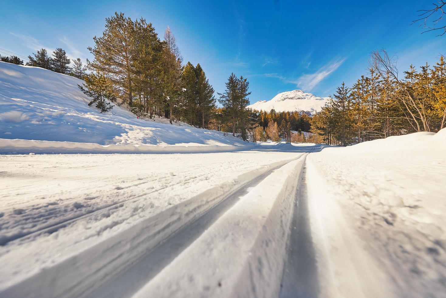 pista de esquí de fondo con pistas para técnicas clásicas y de patinaje foto