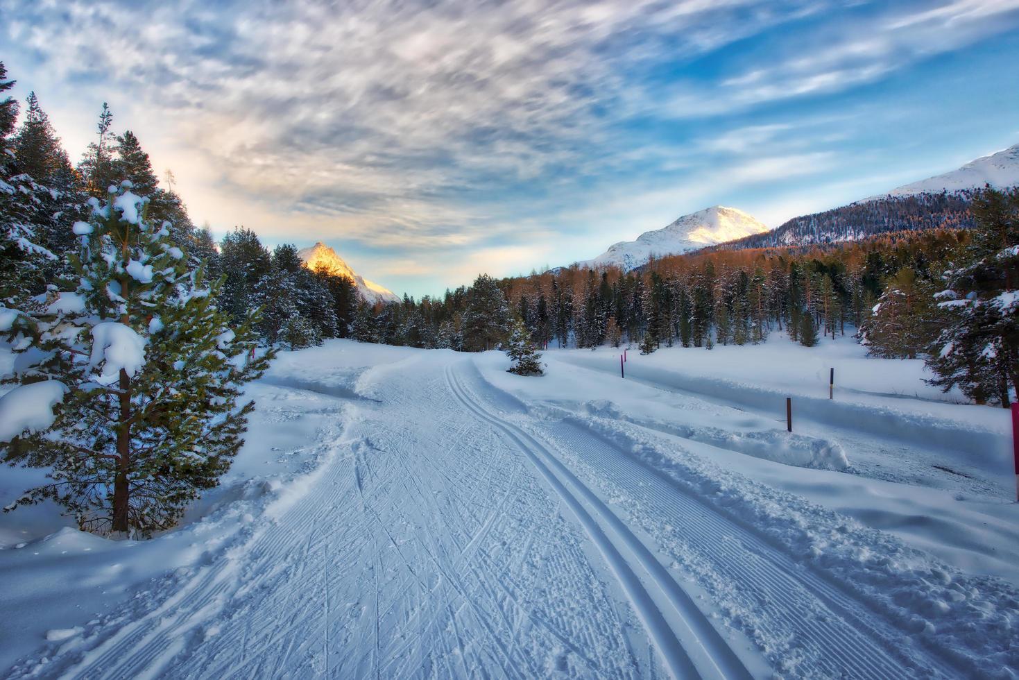 Cross-country skiing in a wonderful place photo