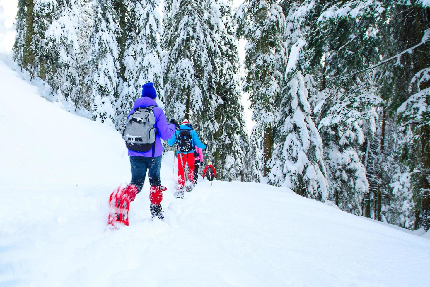 Outing with friends with snowshoes after heavy snowfall photo