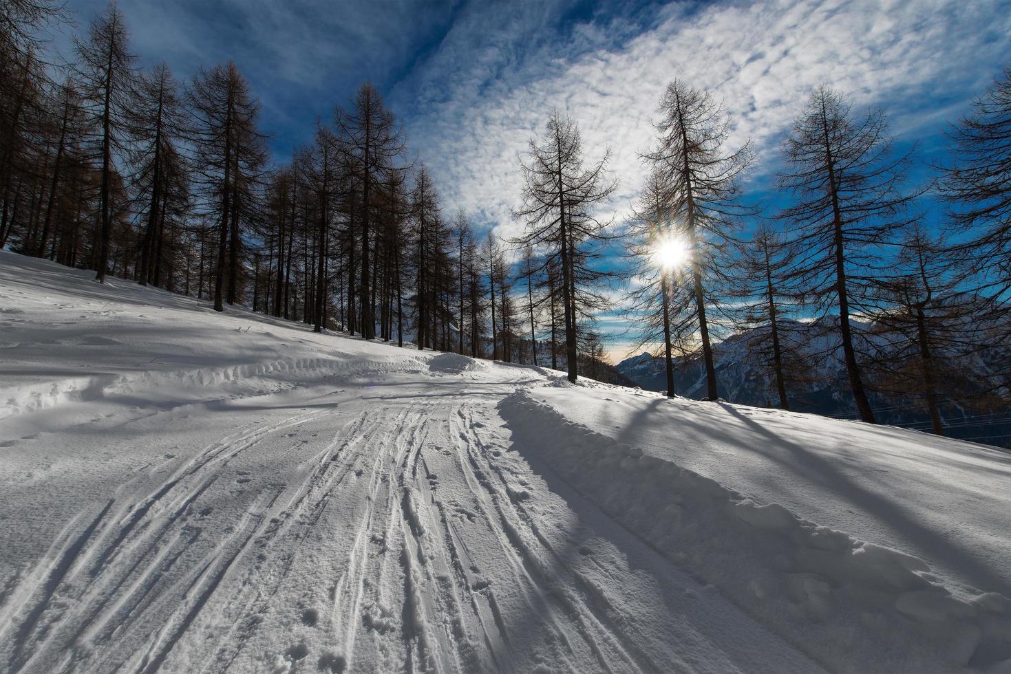 Narrow street with ski mountaineering trail photo