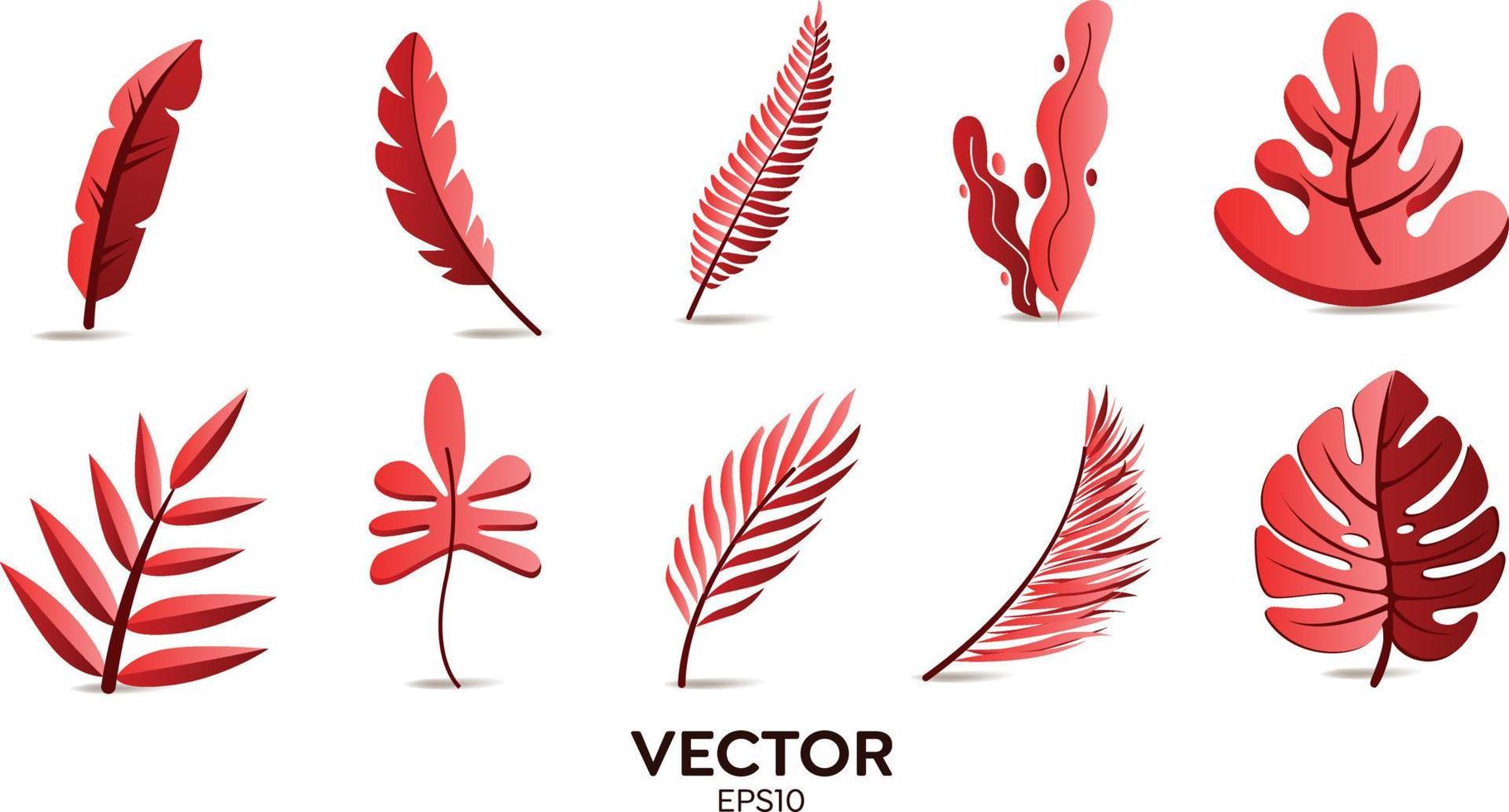 Vector designer elements set collection of red jungle ferns, tropical eucalyptus art natural leaf herbal leaves in vector style. Decorative beauty elegant illustration for design