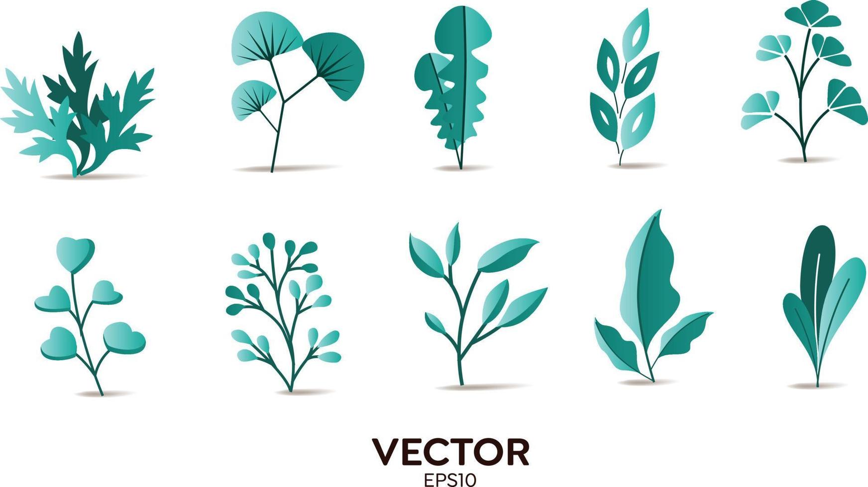 Vector designer elements set collection of Tosca jungle ferns, tropical eucalyptus art natural leaf herbal leaves in vector style. Decorative beauty elegant illustration for design