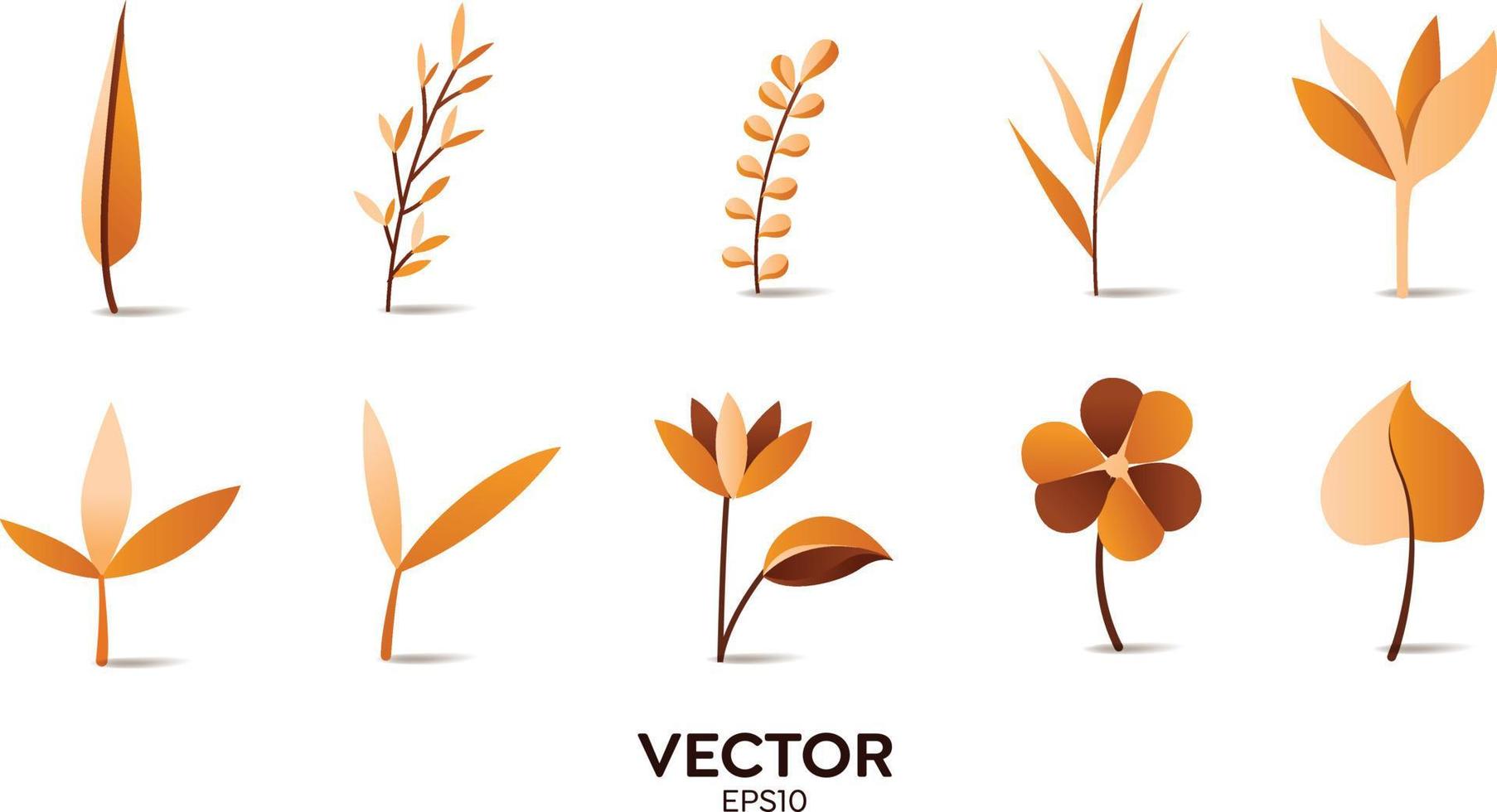 Vector designer elements set collection of yellow jungle ferns, tropical eucalyptus art natural leaf herbal leaves in vector style. Decorative beauty elegant illustration for design