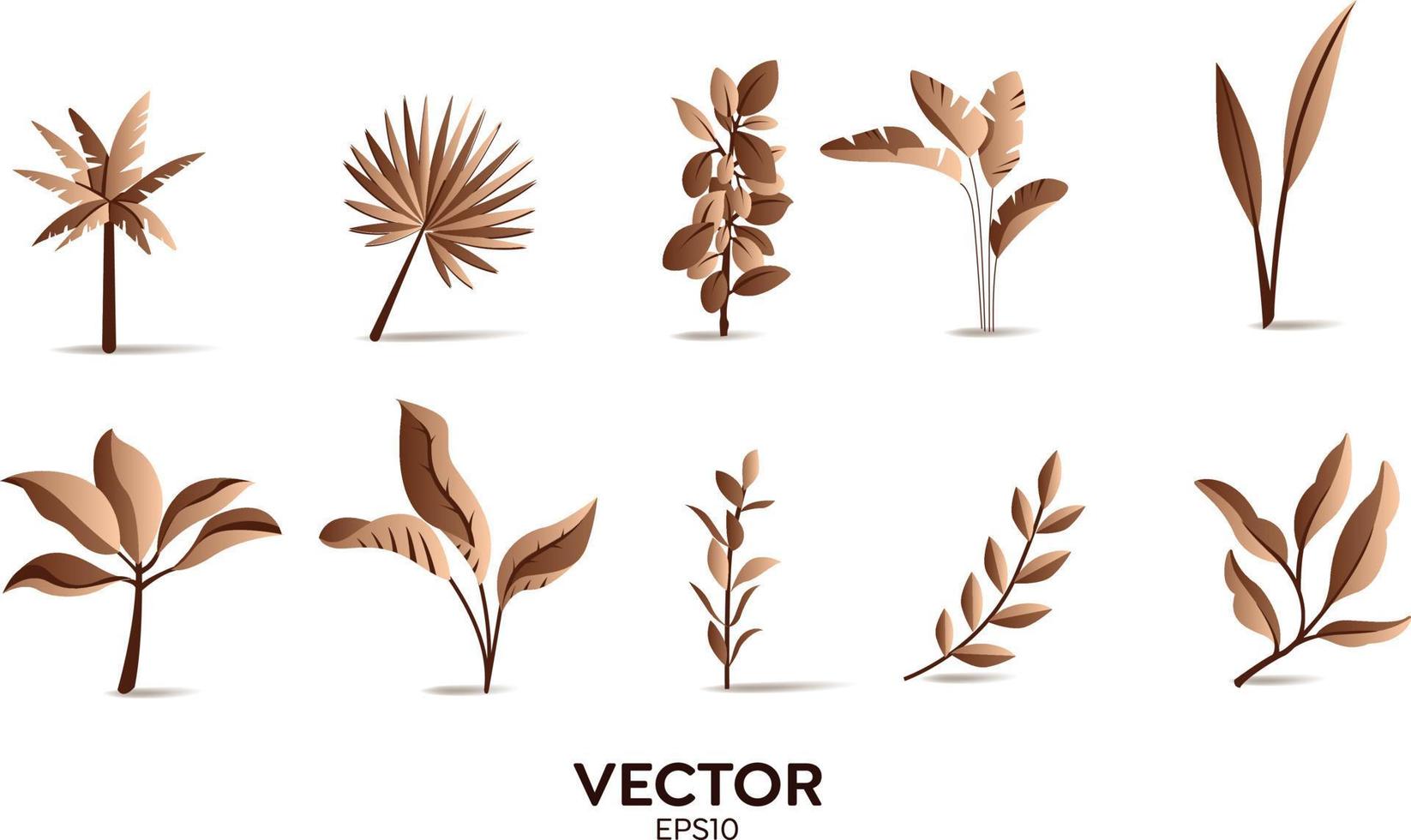 Vector designer elements set collection of brown jungle ferns, tropical eucalyptus art natural leaf herbal leaves in vector style. Decorative beauty elegant illustration for design