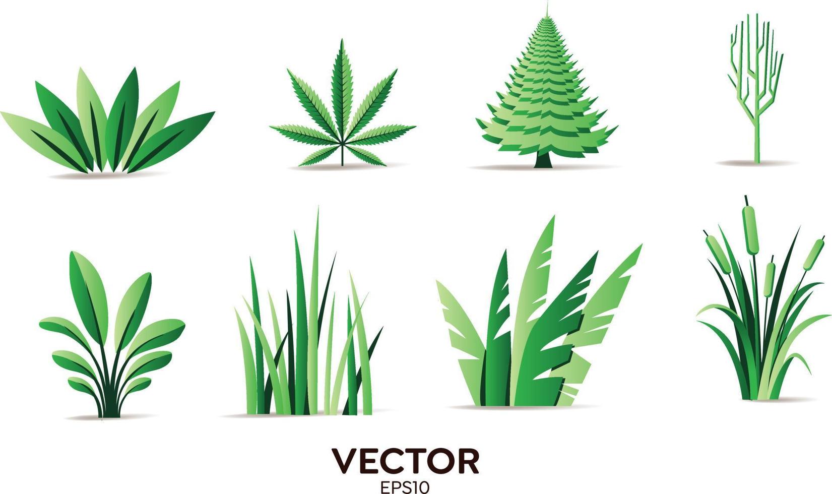 elementos de diseño vectorial conjunto colección de helechos de bosque verde, eucalipto verde tropical arte verde hoja natural hojas de hierbas en estilo vectorial. ilustración elegante belleza decorativa para el diseño vector