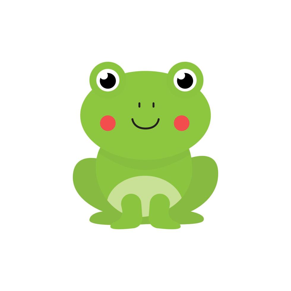 Vector illustration of cute frog isolated on white background.