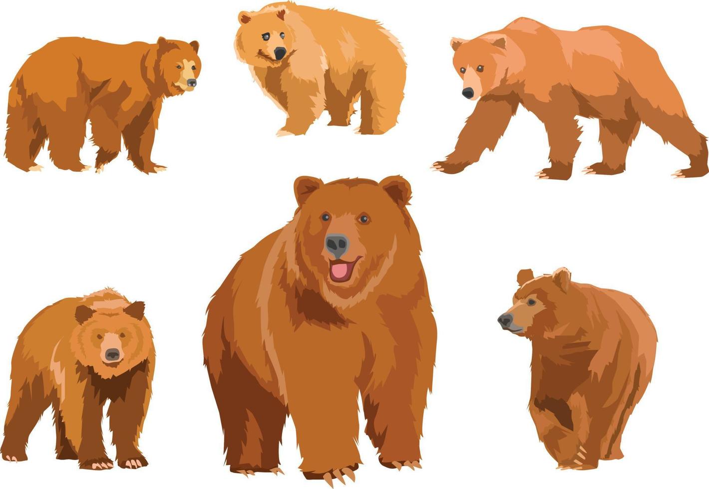 bears mascot vector illustration