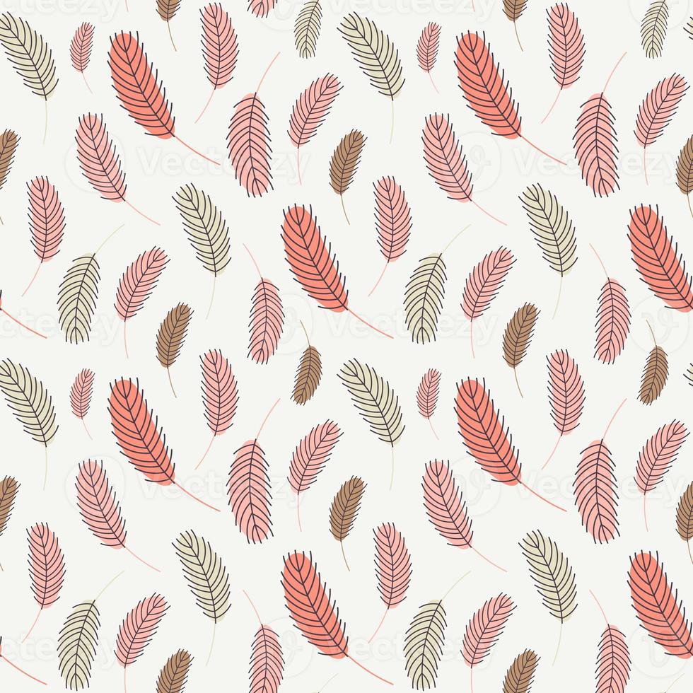 Feathers seamless pattern. Pattern with feathers. photo