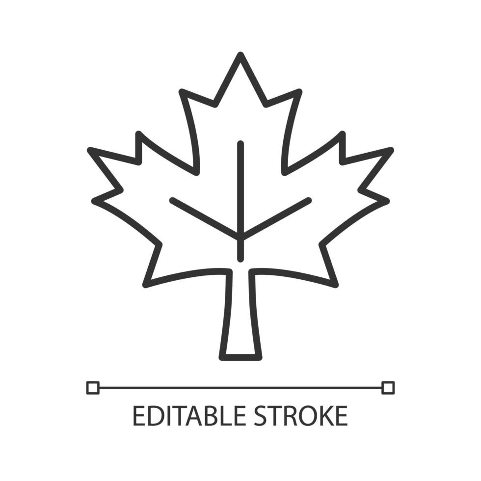 Maple leaf linear icon. Historic landmark. Central element of canadian national flag. Thin line customizable illustration. Contour symbol. Vector isolated outline drawing. Editable stroke