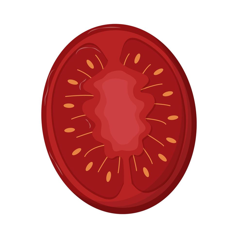 Rodajas de tomate callos rojos aislado sobre fondo blanco. vector