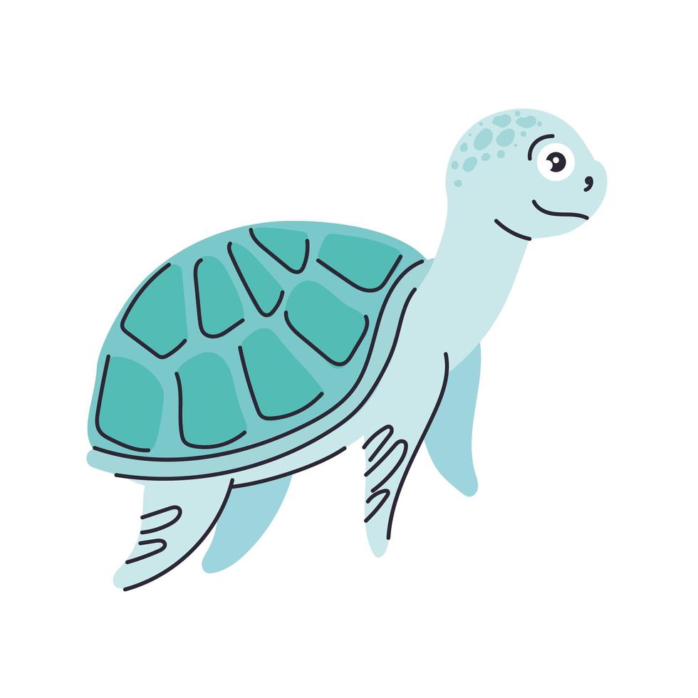 cute turtle animal vector