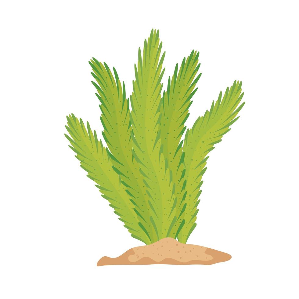 planta de algas verdes vector