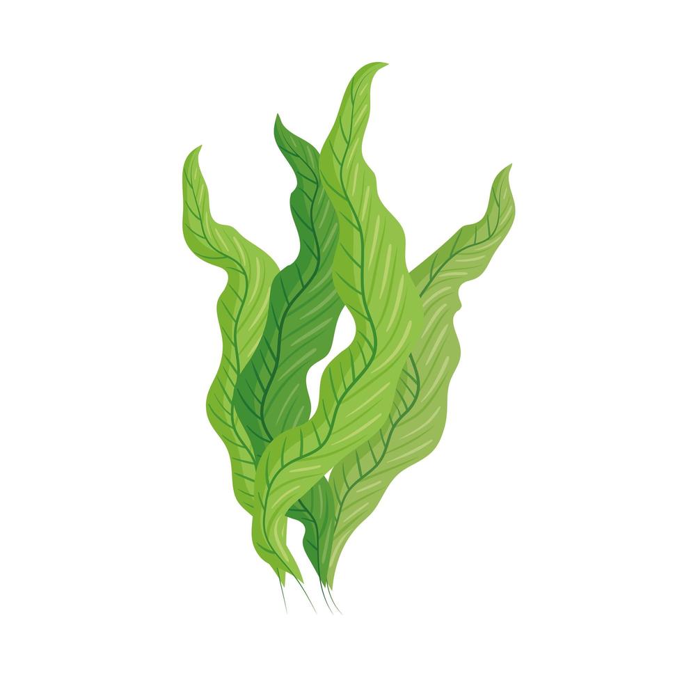 green seaweed plants vector