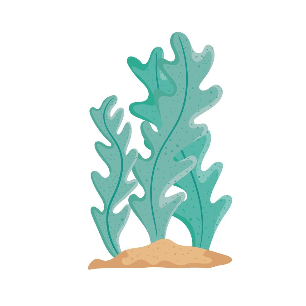 seaweed in sand vector