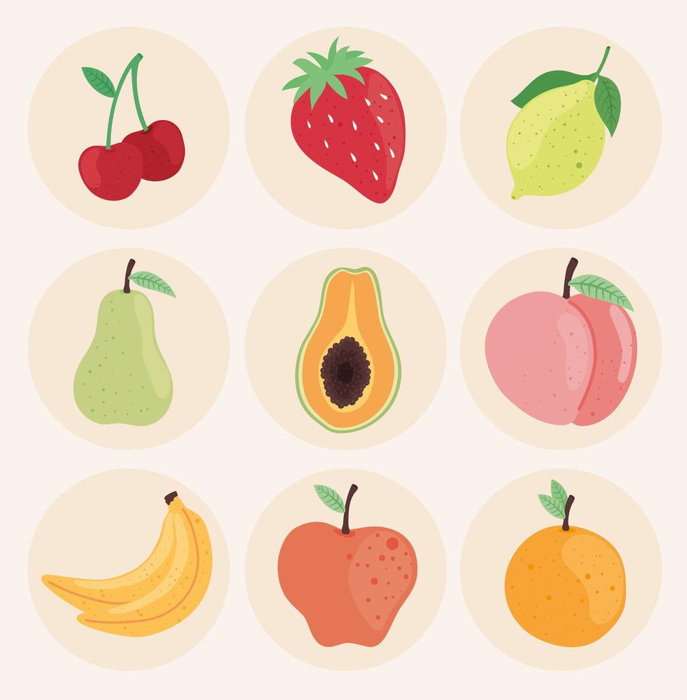 fruits delicious fresh vector