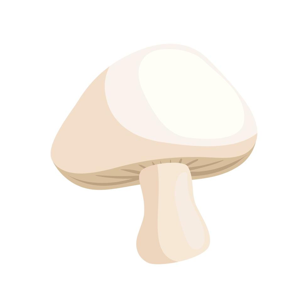 fresh mushroom vegetable vector