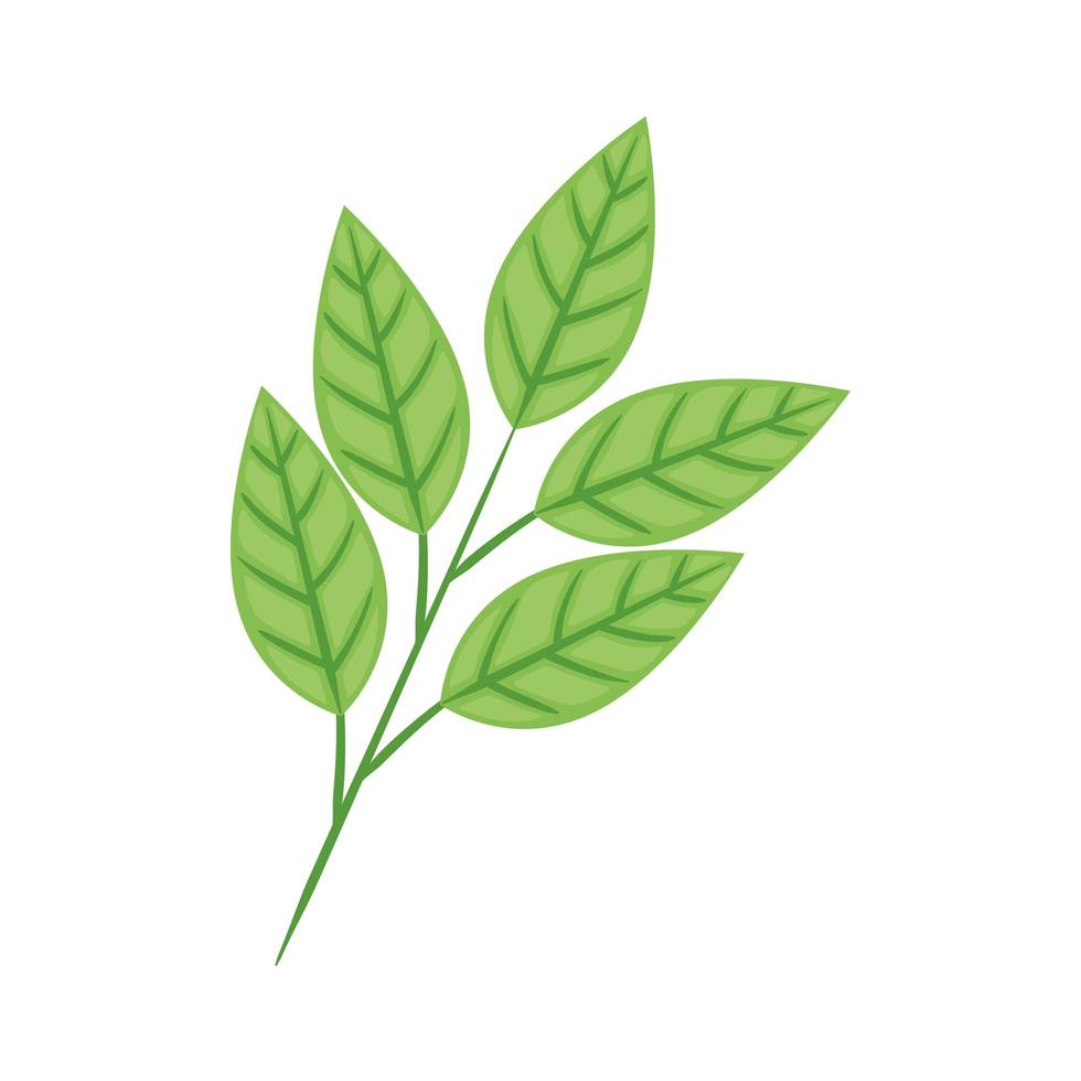 icono de planta de hojas vector