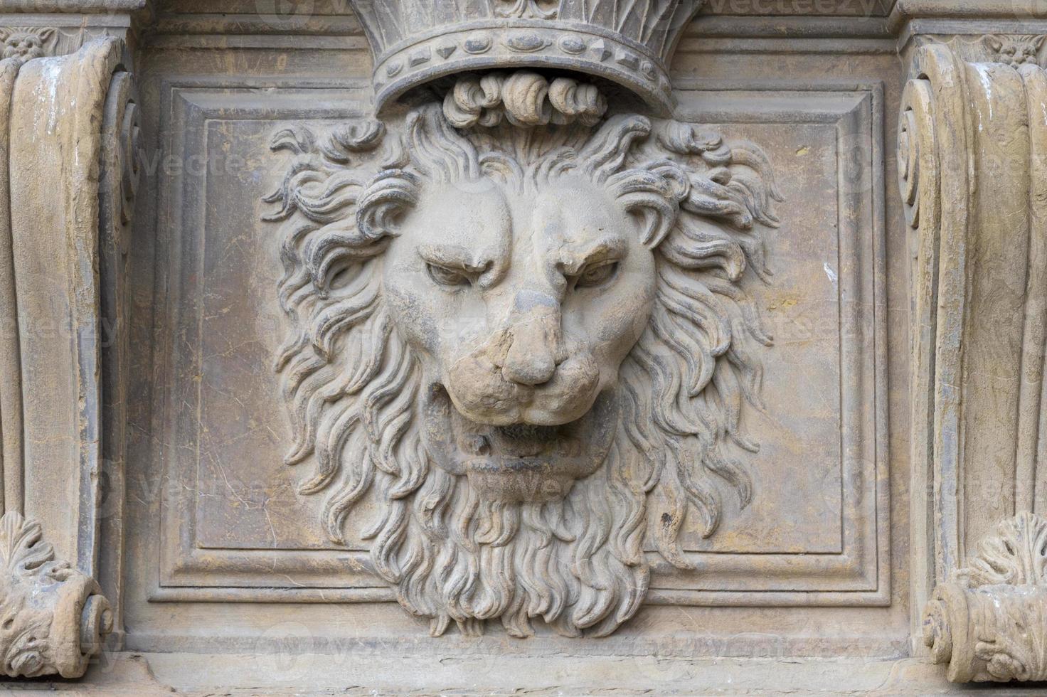Florenze palazzo pitti lion statue bas relief photo