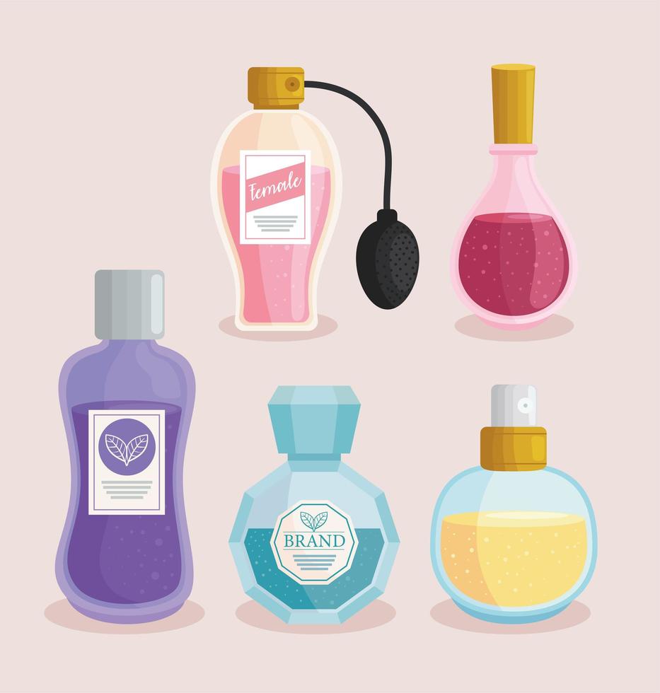 fragrances bottles icons vector