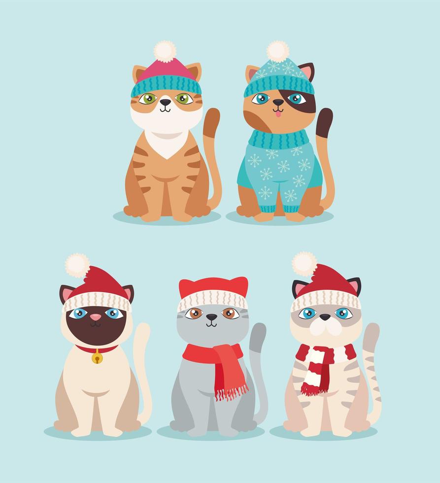 cinco lindos gatos navideños vector
