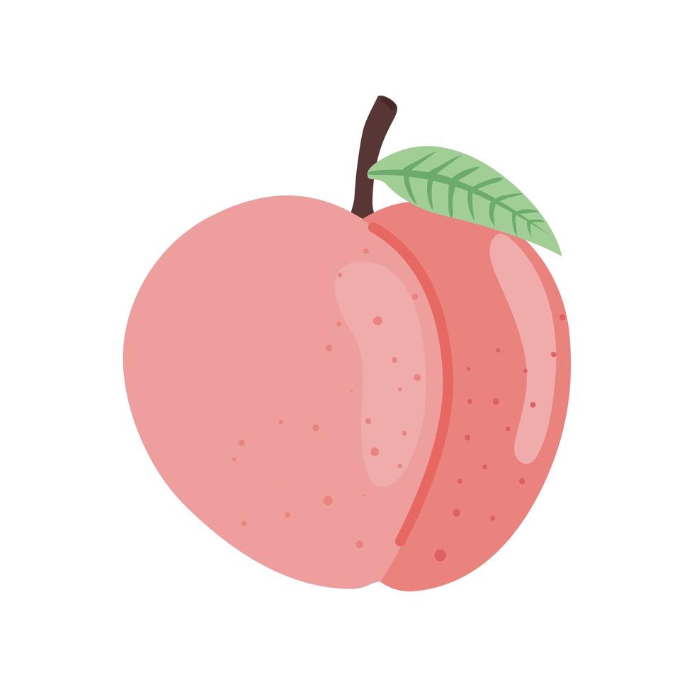 delicious peach fruit vector
