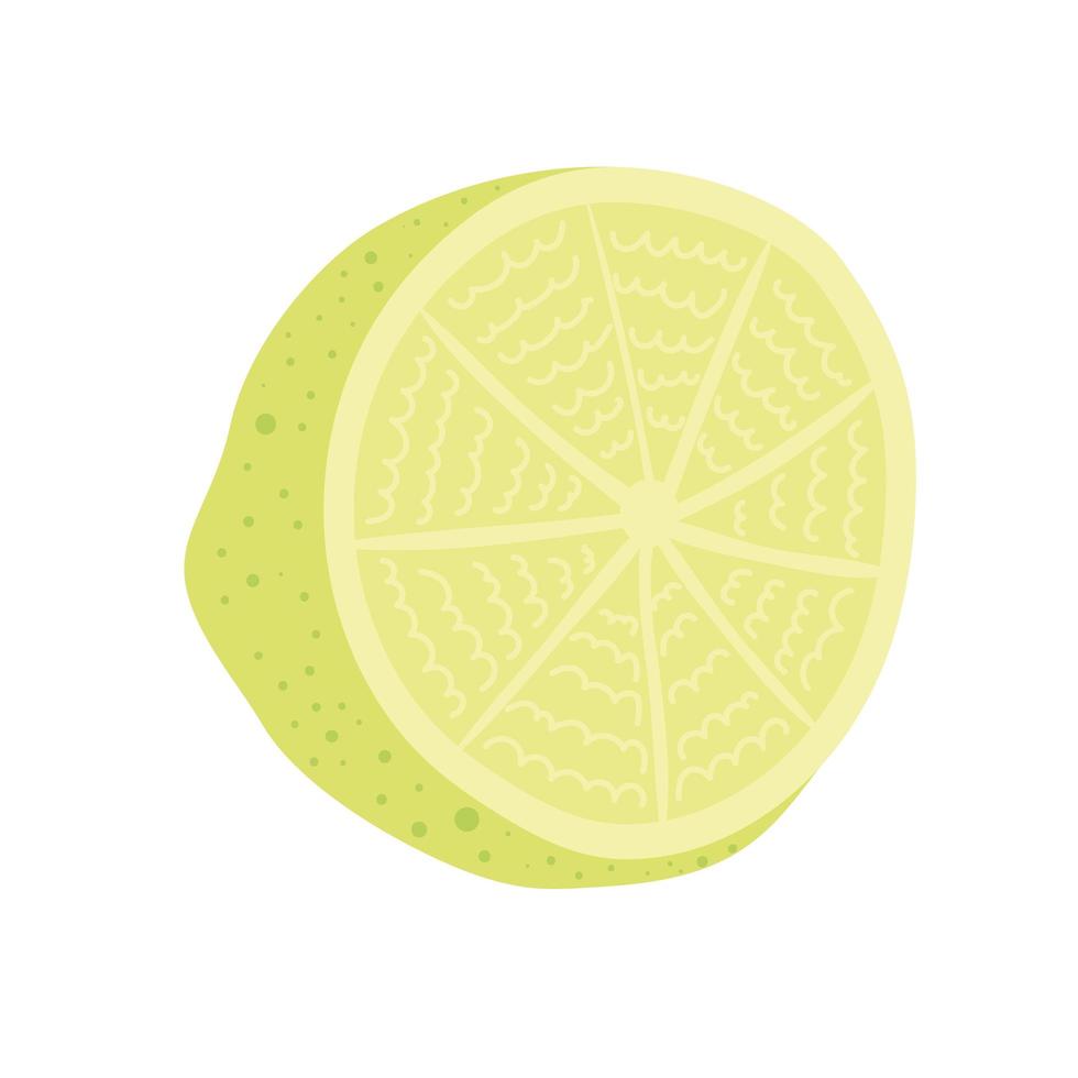 half of lemon fruit vector