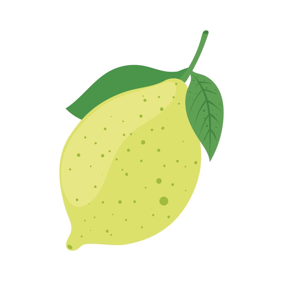 lemon fruit citric vector