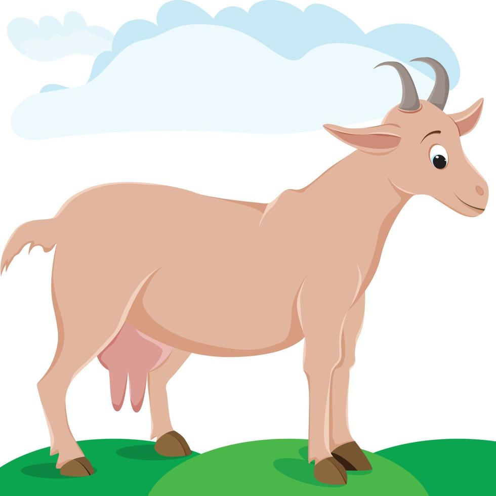 Cute isolated cartoon goat vector