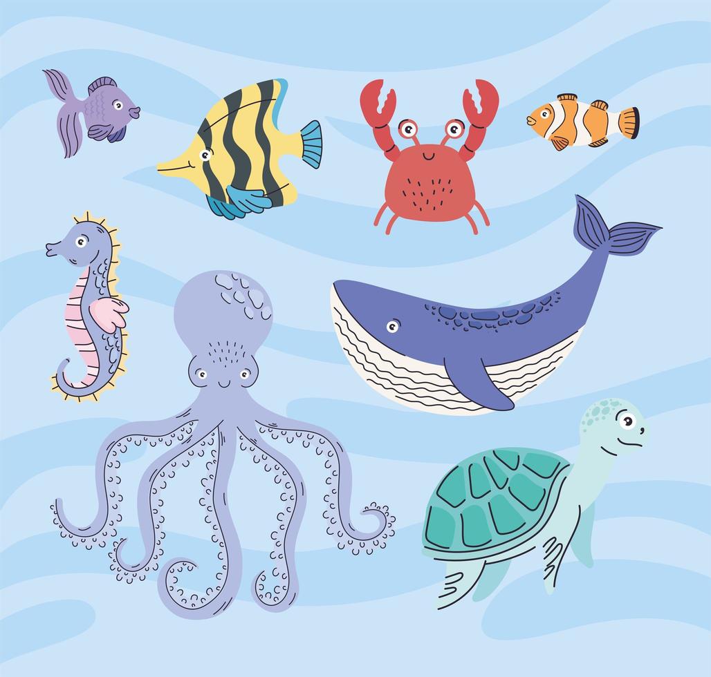 eight cute sealife animals vector