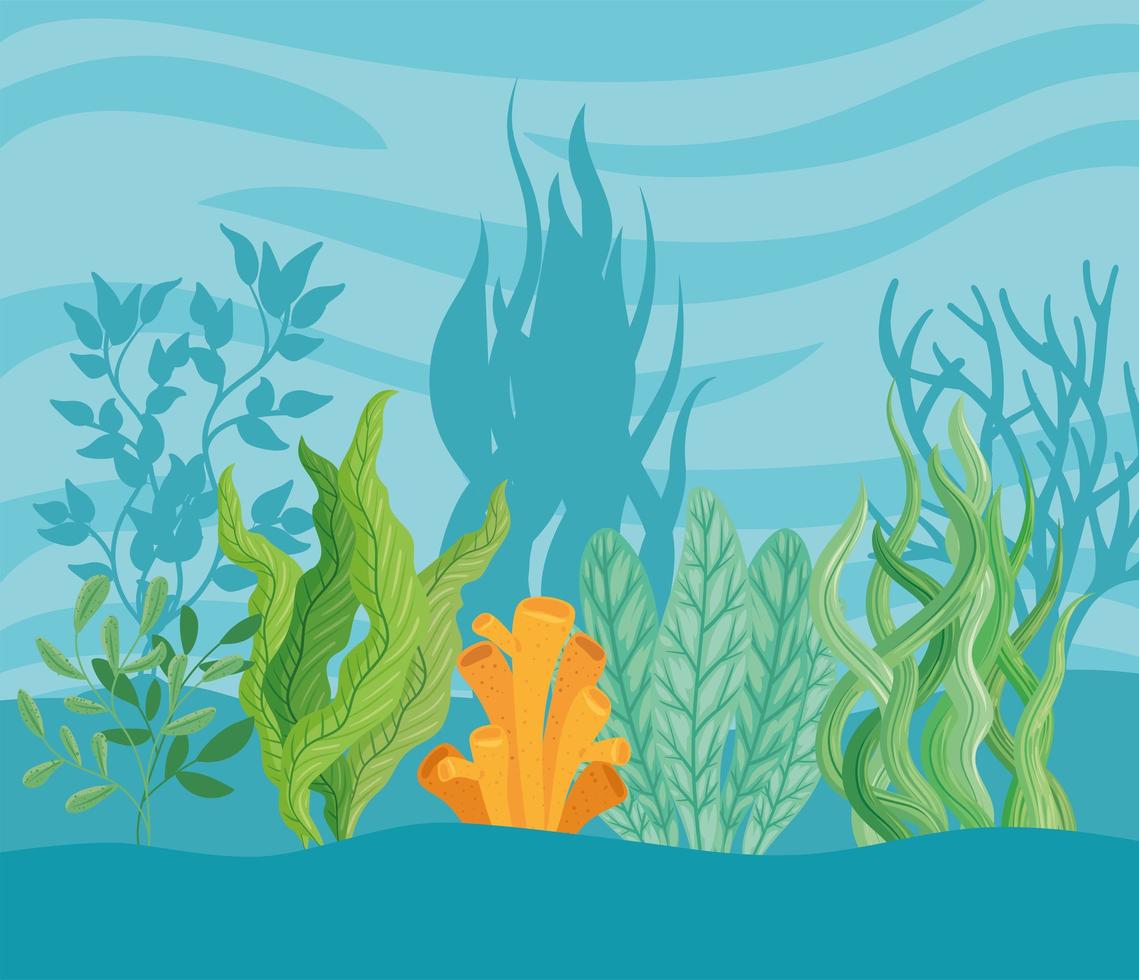 seaweed plants in ocean vector