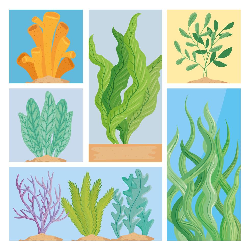 escenas de la naturaleza de algas vector