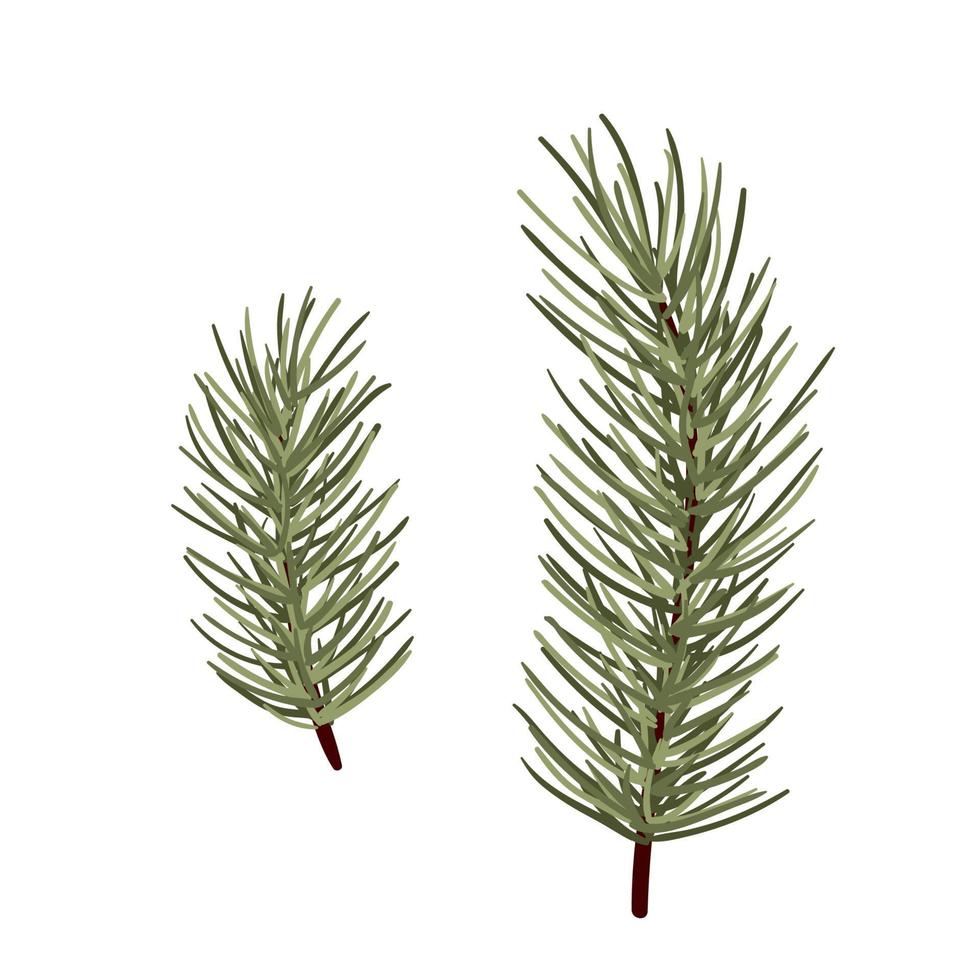 pine tree branch clip art