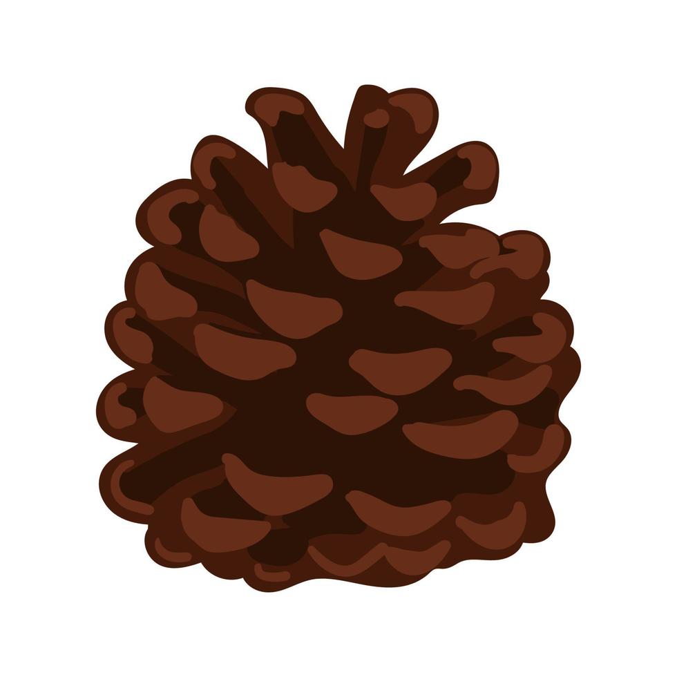 Pine cone hand drawn isolated vector illustration