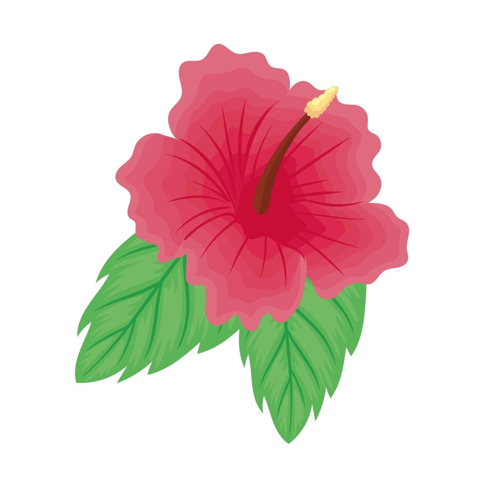 lily red flower vector