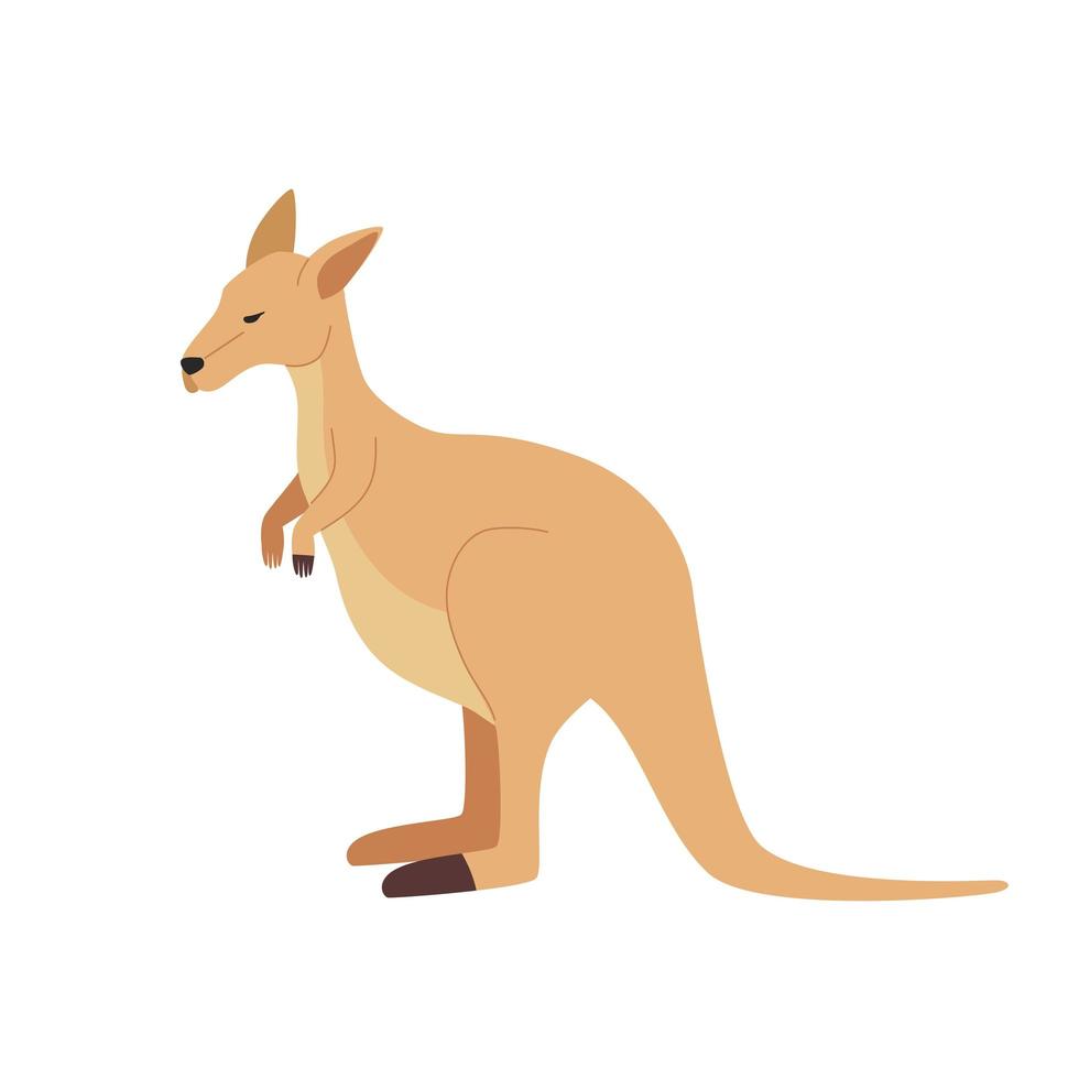 canguro animal australiano vector