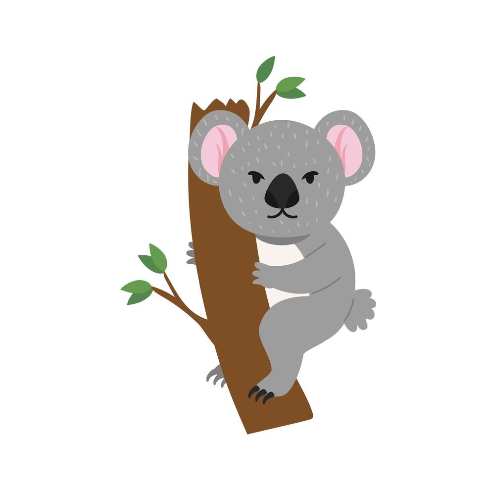 koala animal australiano vector