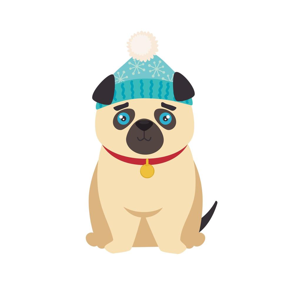 dog with winter clothes vector