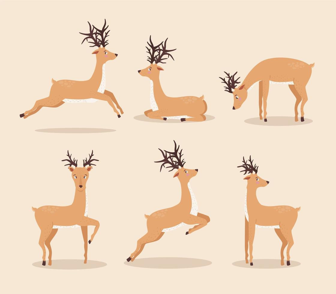 six reindeer animals group vector
