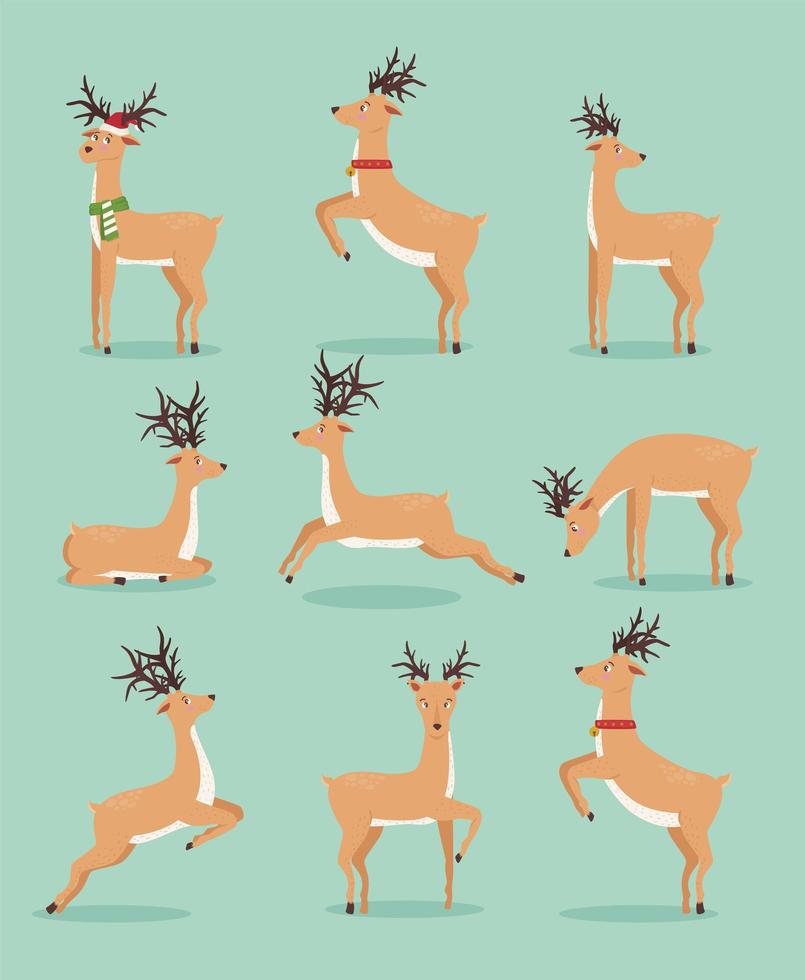 nine reindeer animals icons vector