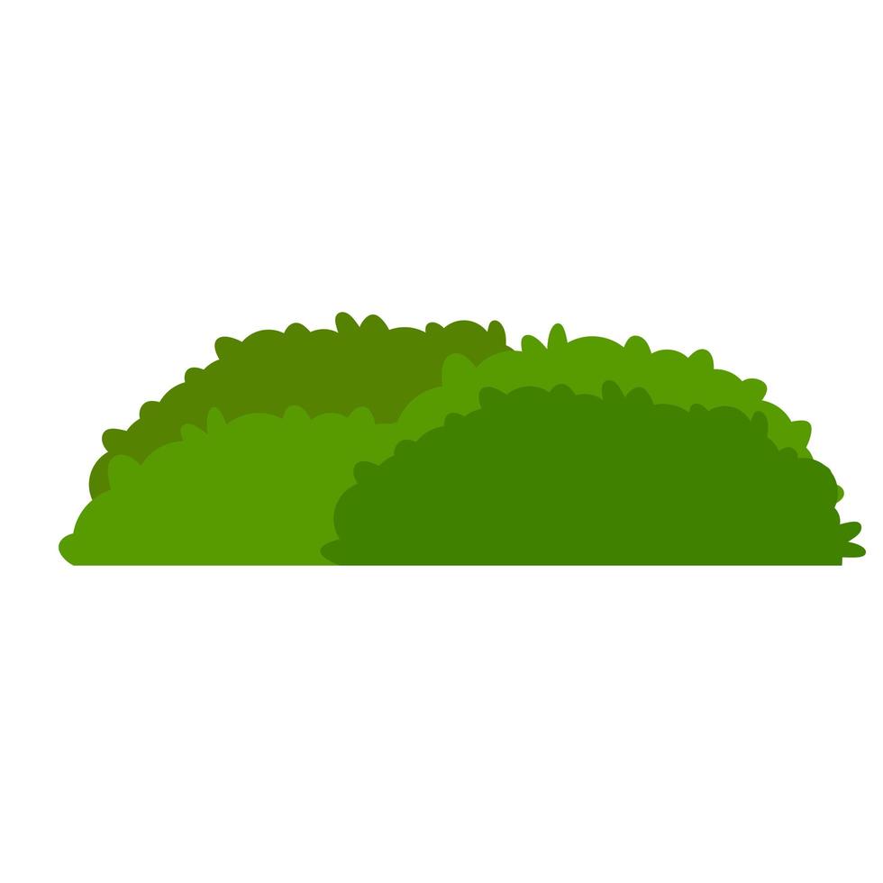 arbustos de setos verdes. elemento de jardín. vector