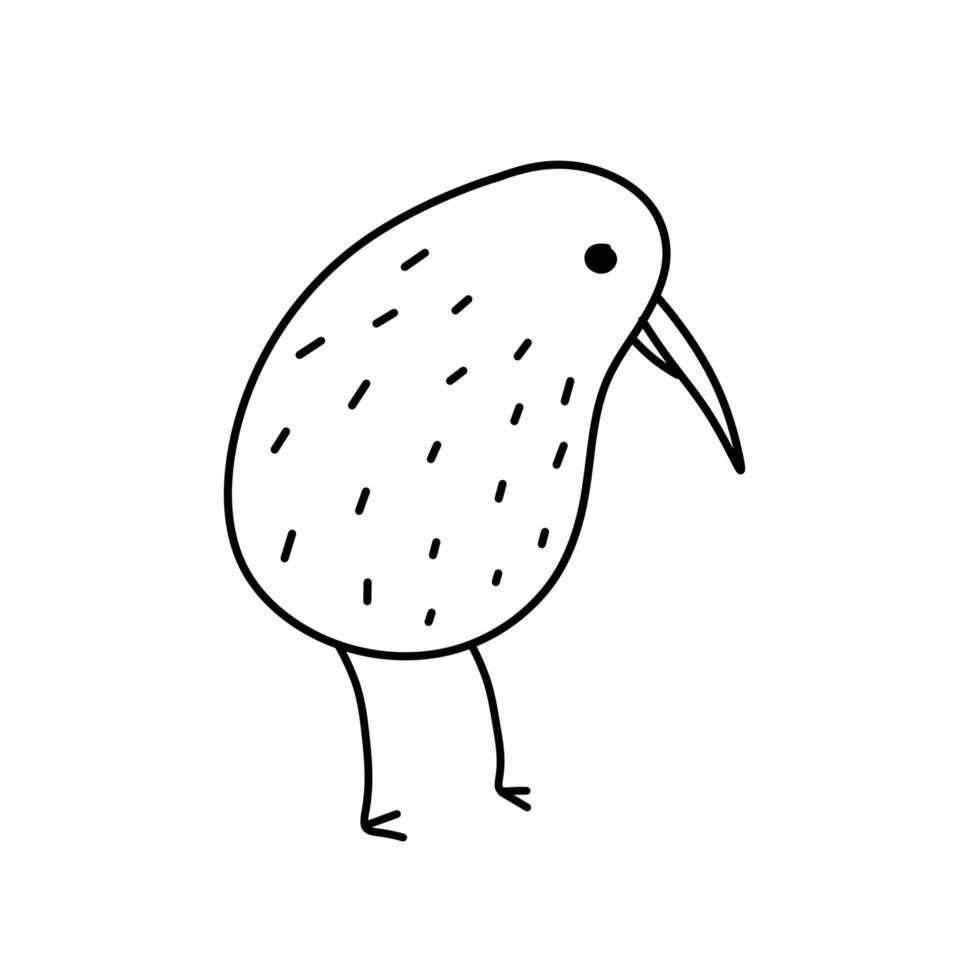 Kiwi bird. Rare Australian animal. Black and white sketch style. vector