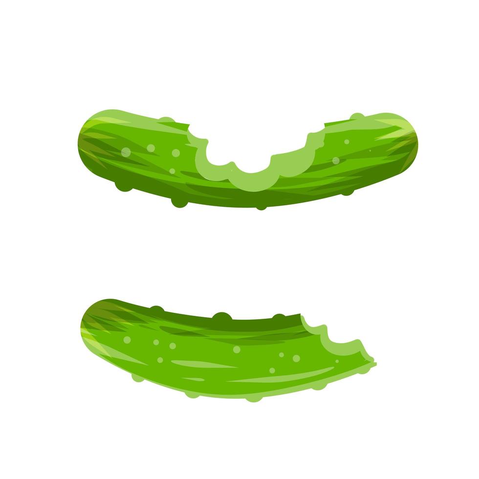 Bitten cucumber. Food waste. Green vegetable. vector