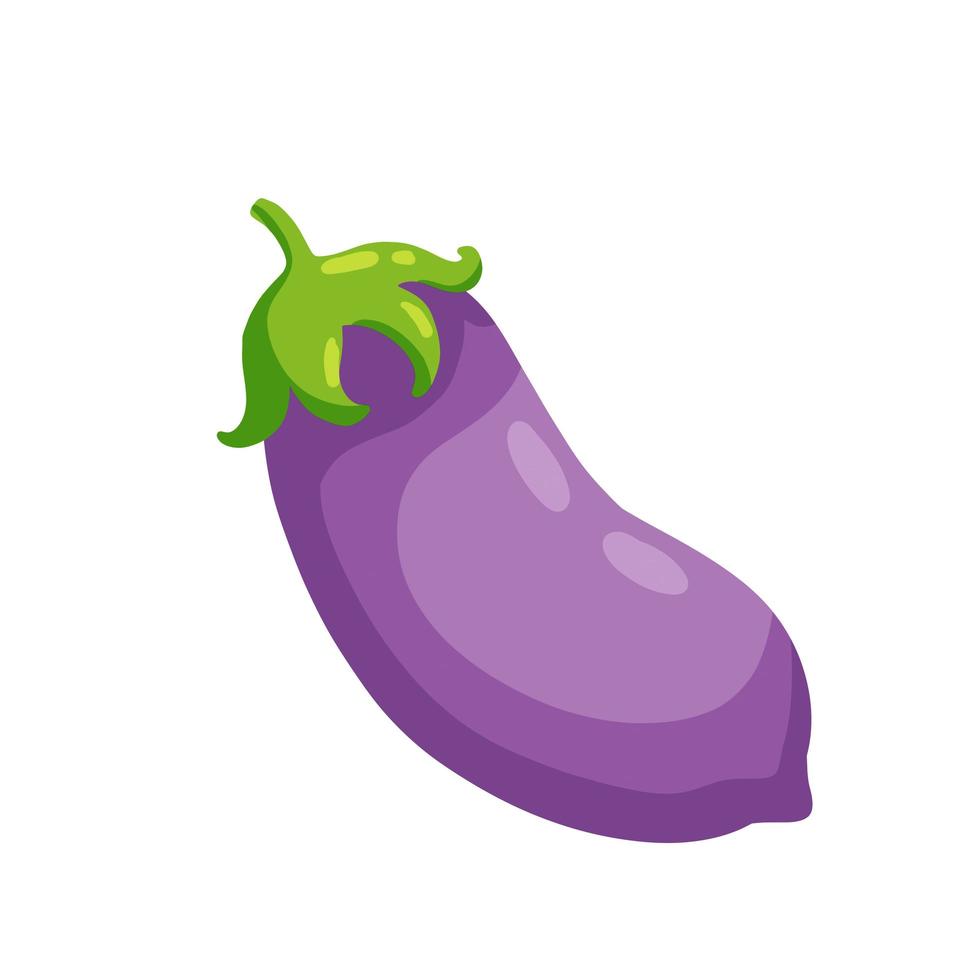 Eggplant. Purple vegetable. Flat Natural vegan food. vector