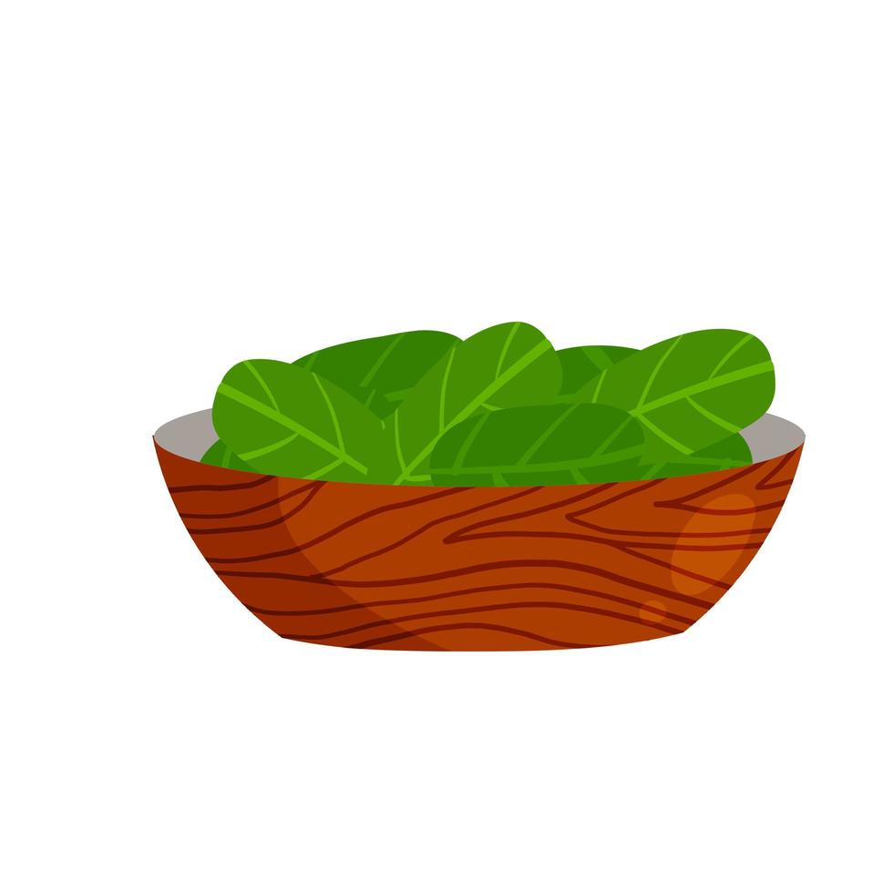 Spinach in plate. Green leaves and salad vector