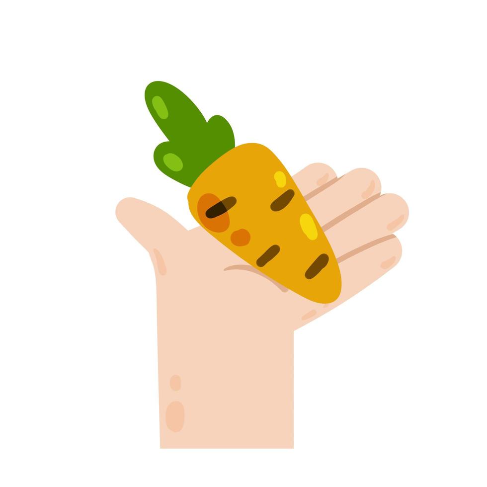 Hand hold carrot. Orange vegetable in palm. Vegetarian food. Harvesting. vector