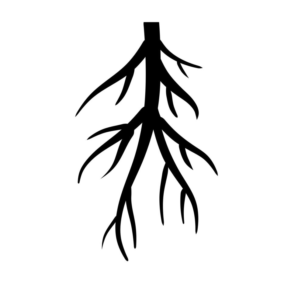 Root. Underground part of plant. Black icon. vector